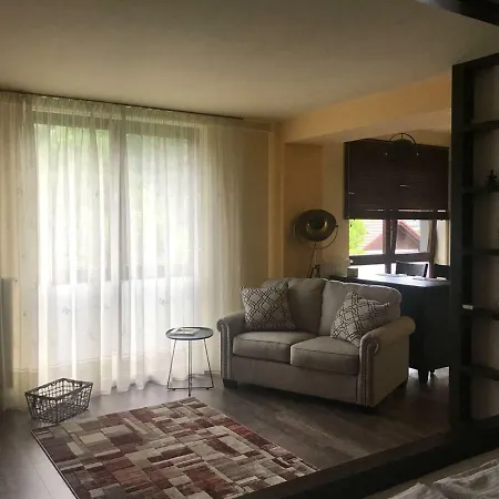 Xili's Apartment, Netflix & Free Parking Braşov
