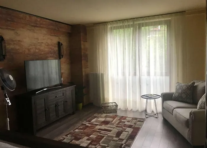 Xili's Apartment, Netflix & Free Parking Apartman Brassó